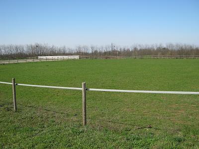 Campo in erba